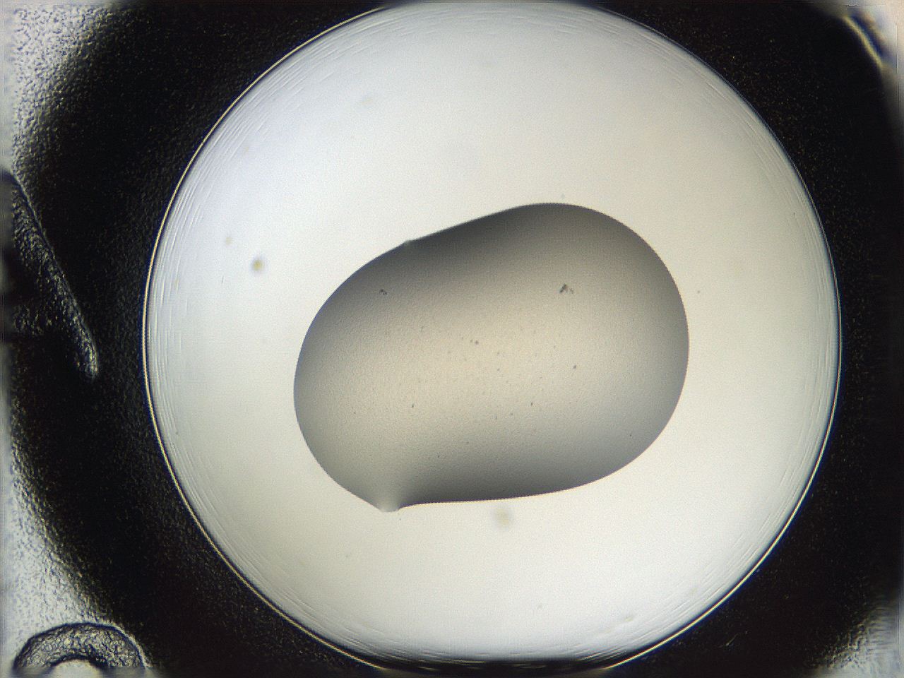 05wd_A12_ImagerDefaults_1.jpg
