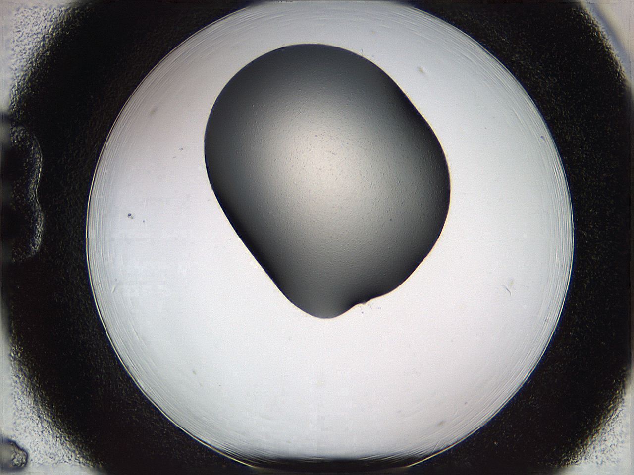 05wd_B6_ImagerDefaults_2.jpg