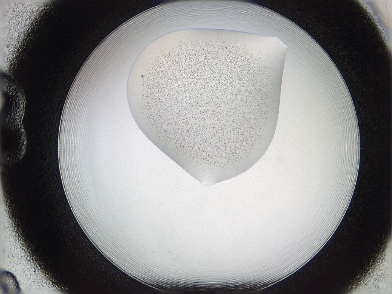 05wd_B8_ImagerDefaults_3.jpg