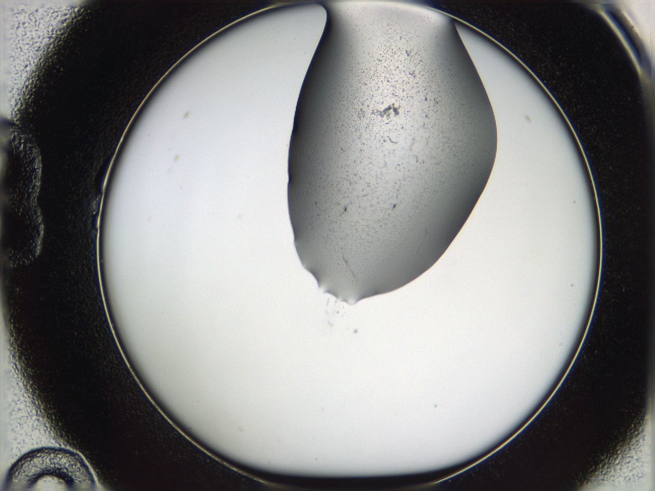 05wd_B10_ImagerDefaults_3.jpg