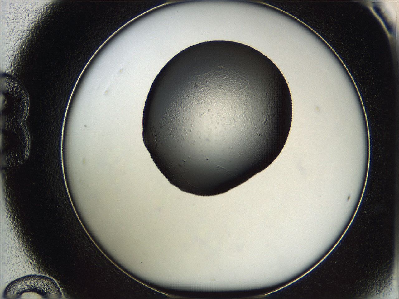 05wd_B12_ImagerDefaults_3.jpg