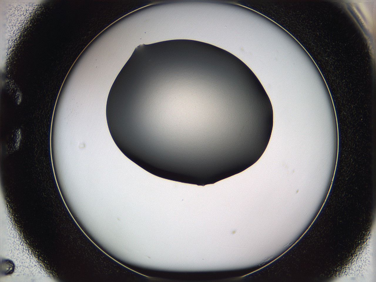 05wd_C5_ImagerDefaults_1.jpg