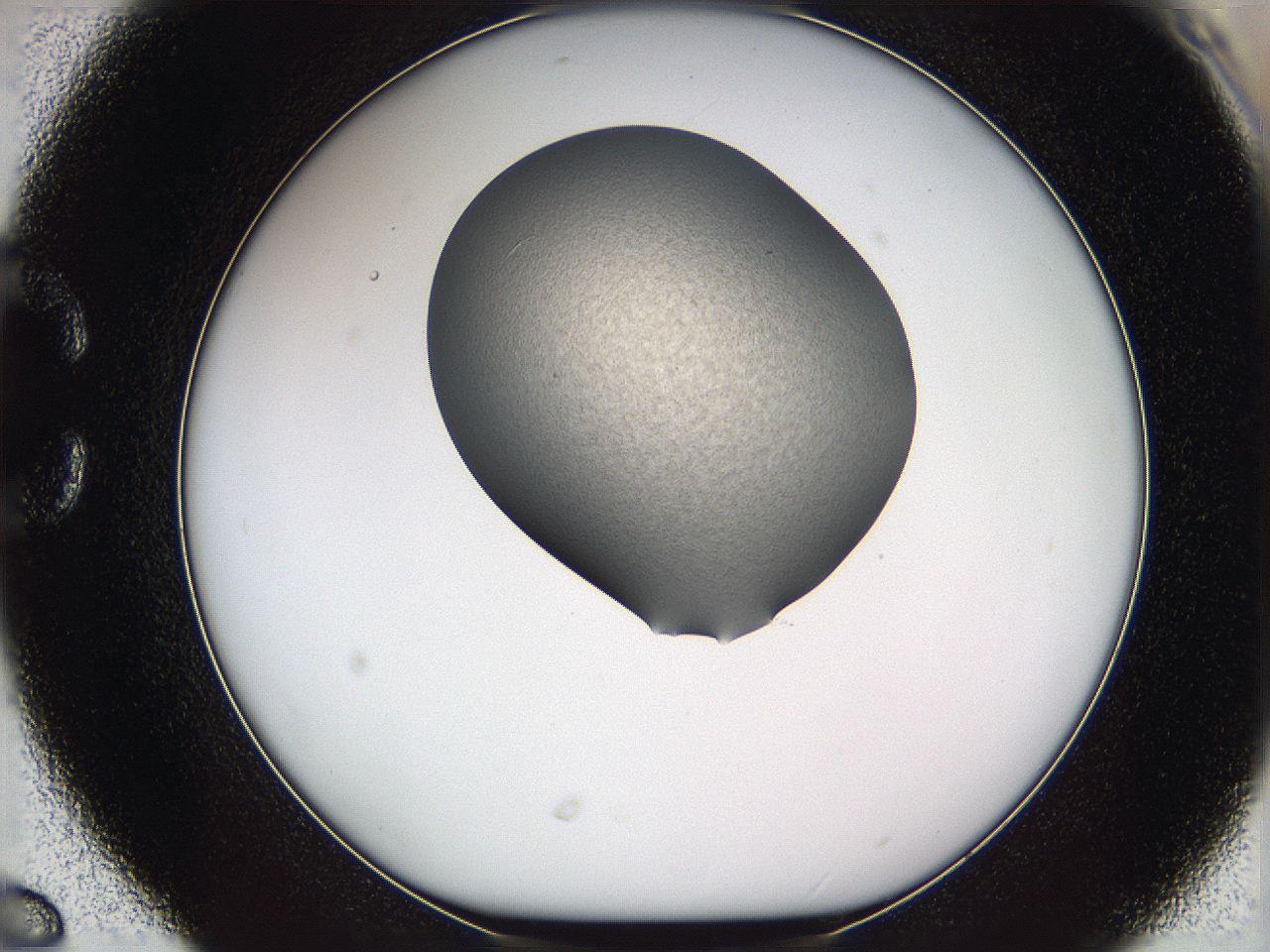 05wd_C6_ImagerDefaults_3.jpg