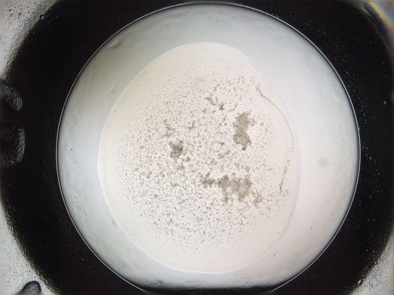 05wd_G11_ImagerDefaults_3.jpg