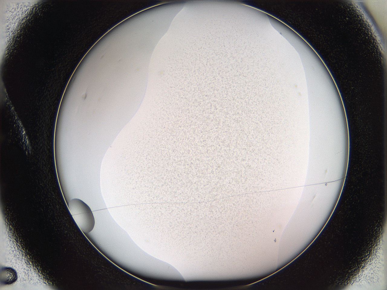 05we_A5_ImagerDefaults_3.jpg