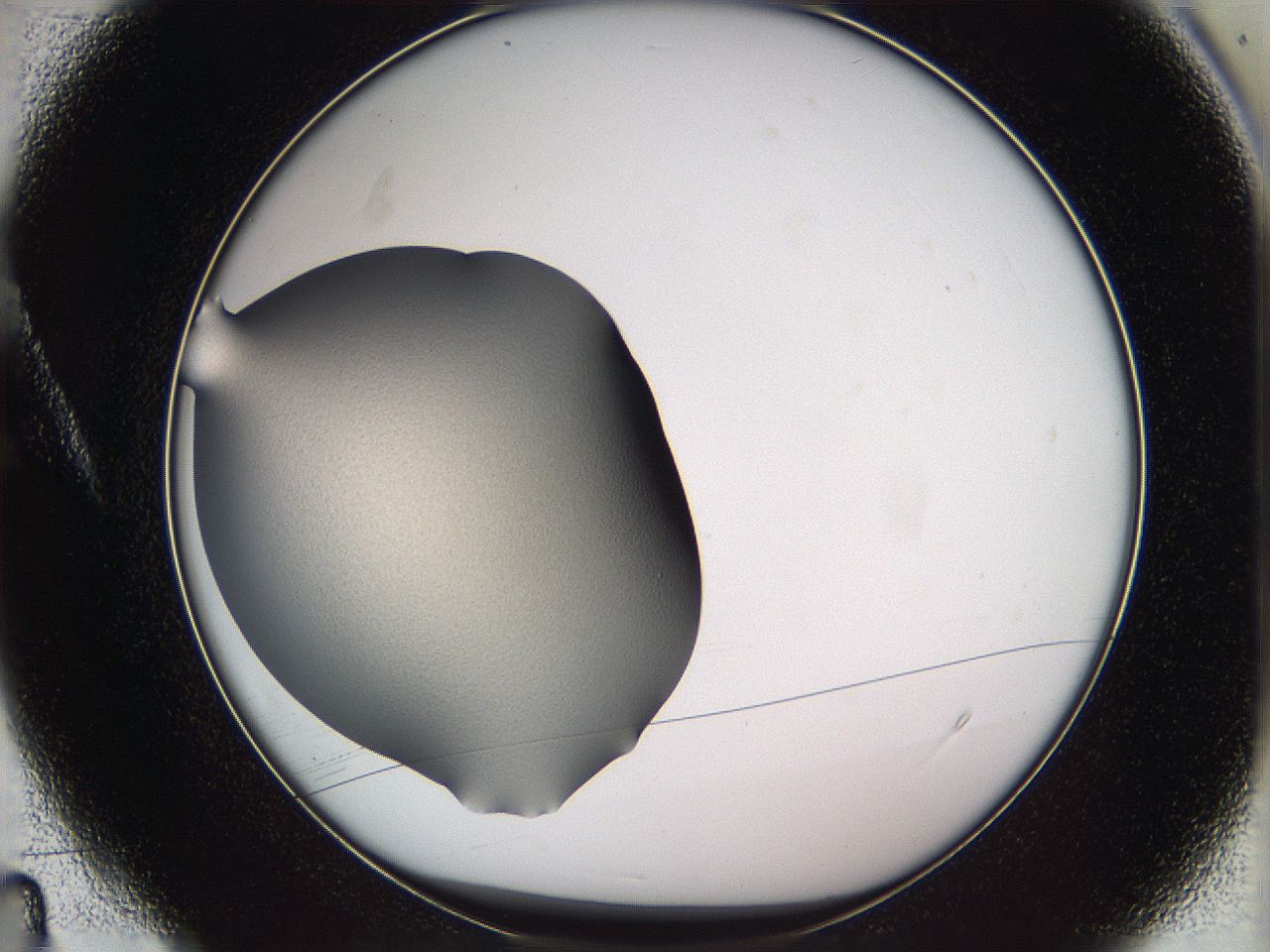 05we_A4_ImagerDefaults_2.jpg