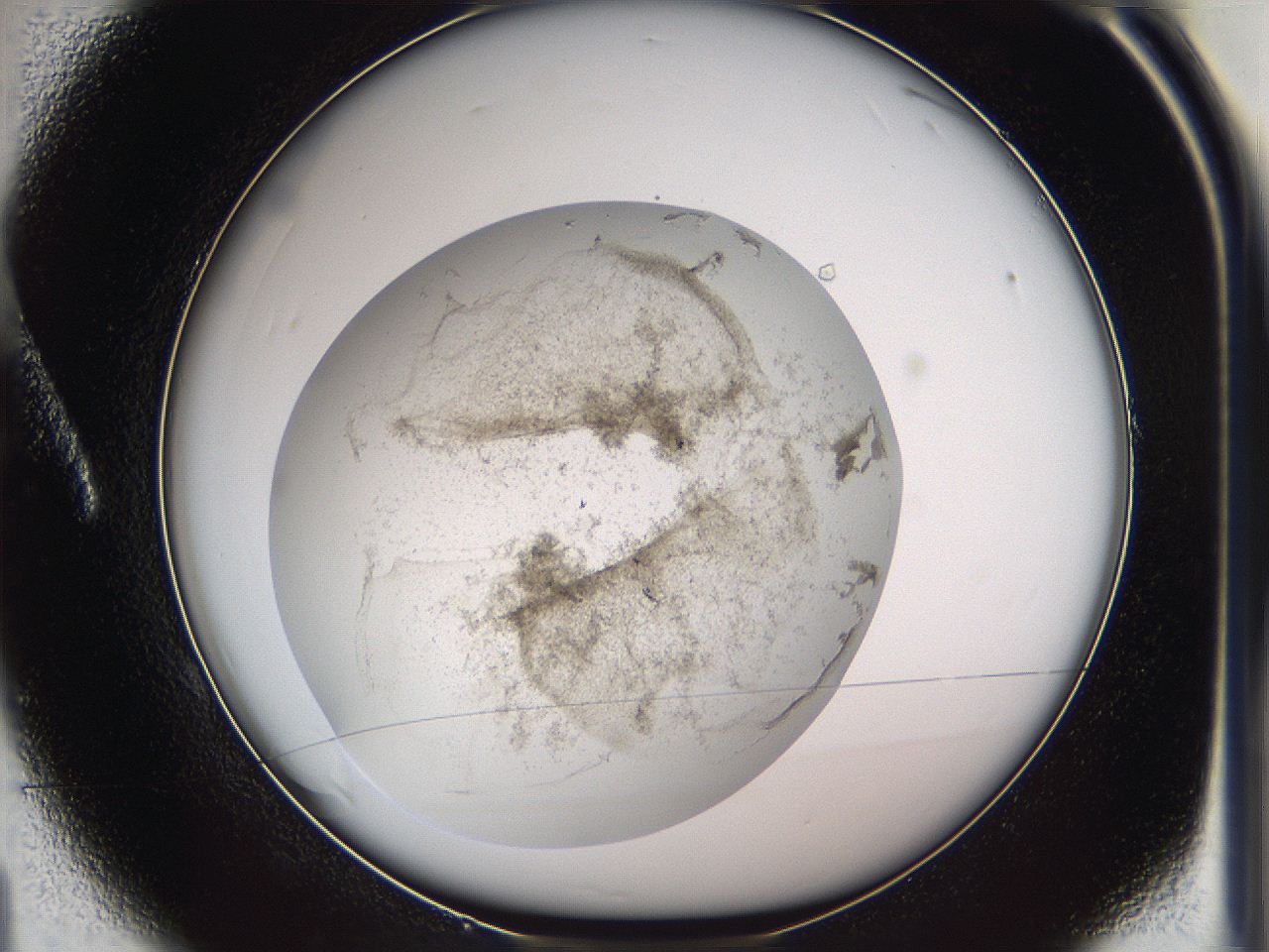 05we_A1_ImagerDefaults_3.jpg