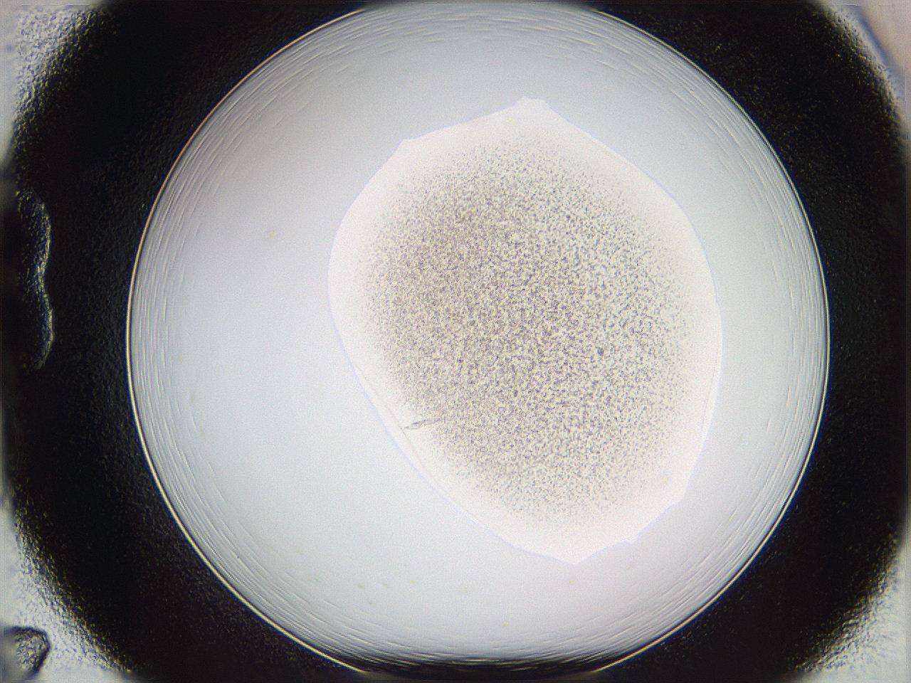 05we_B7_ImagerDefaults_3.jpg