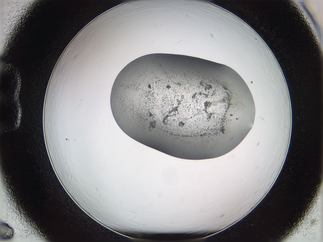 05we_B6_ImagerDefaults_3.jpg