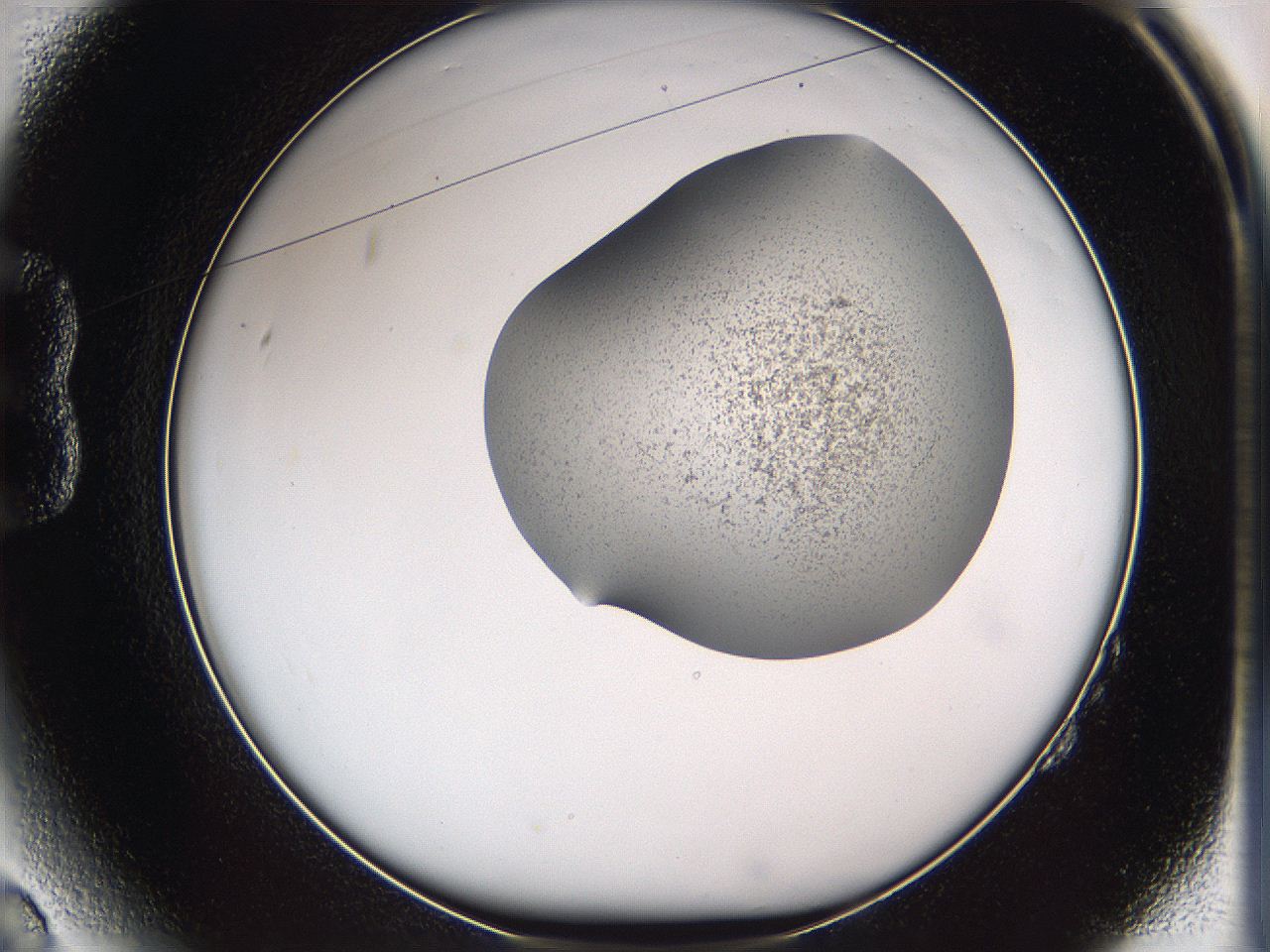 05we_B2_ImagerDefaults_3.jpg