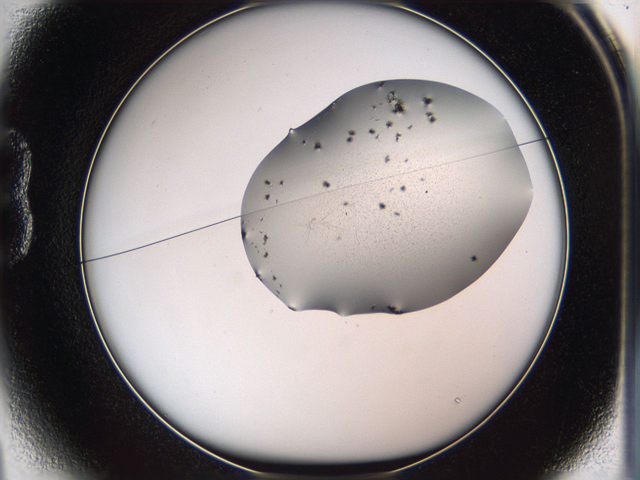 05we_B1_ImagerDefaults_5.jpg
