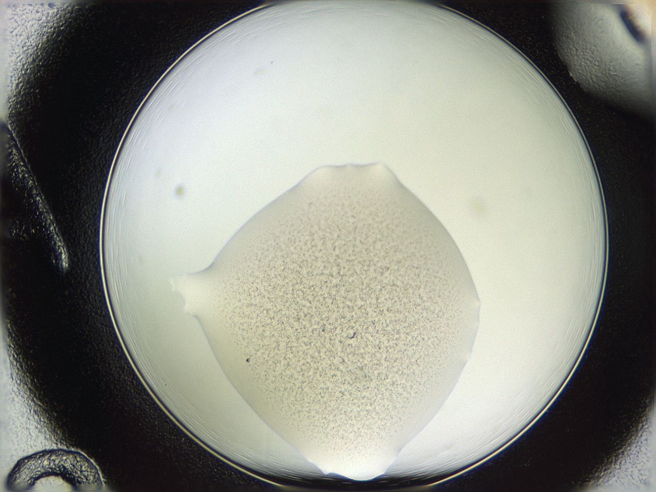 05we_A12_ImagerDefaults_3.jpg