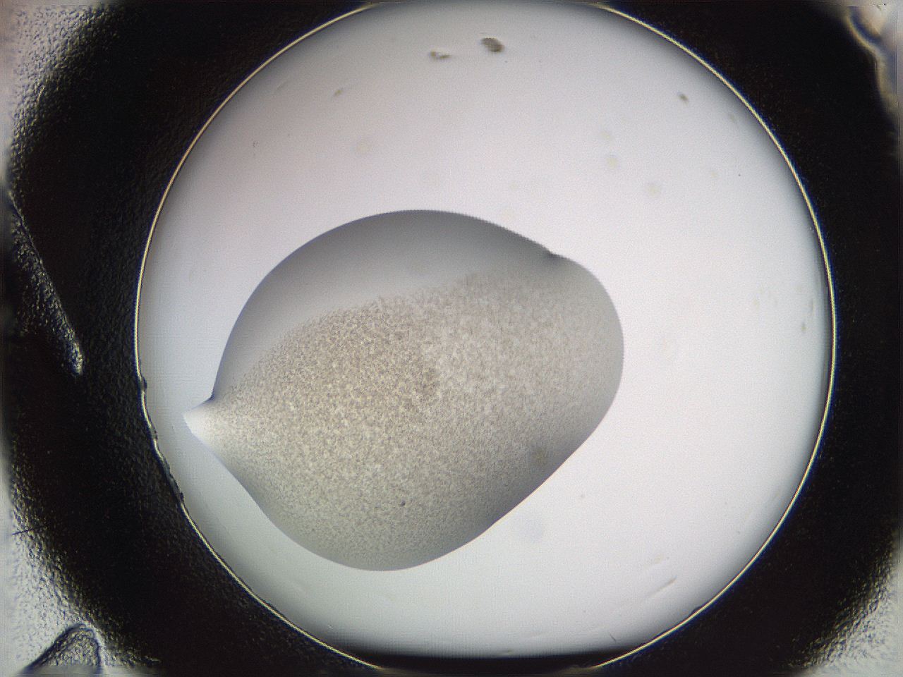 05we_A11_ImagerDefaults_3.jpg