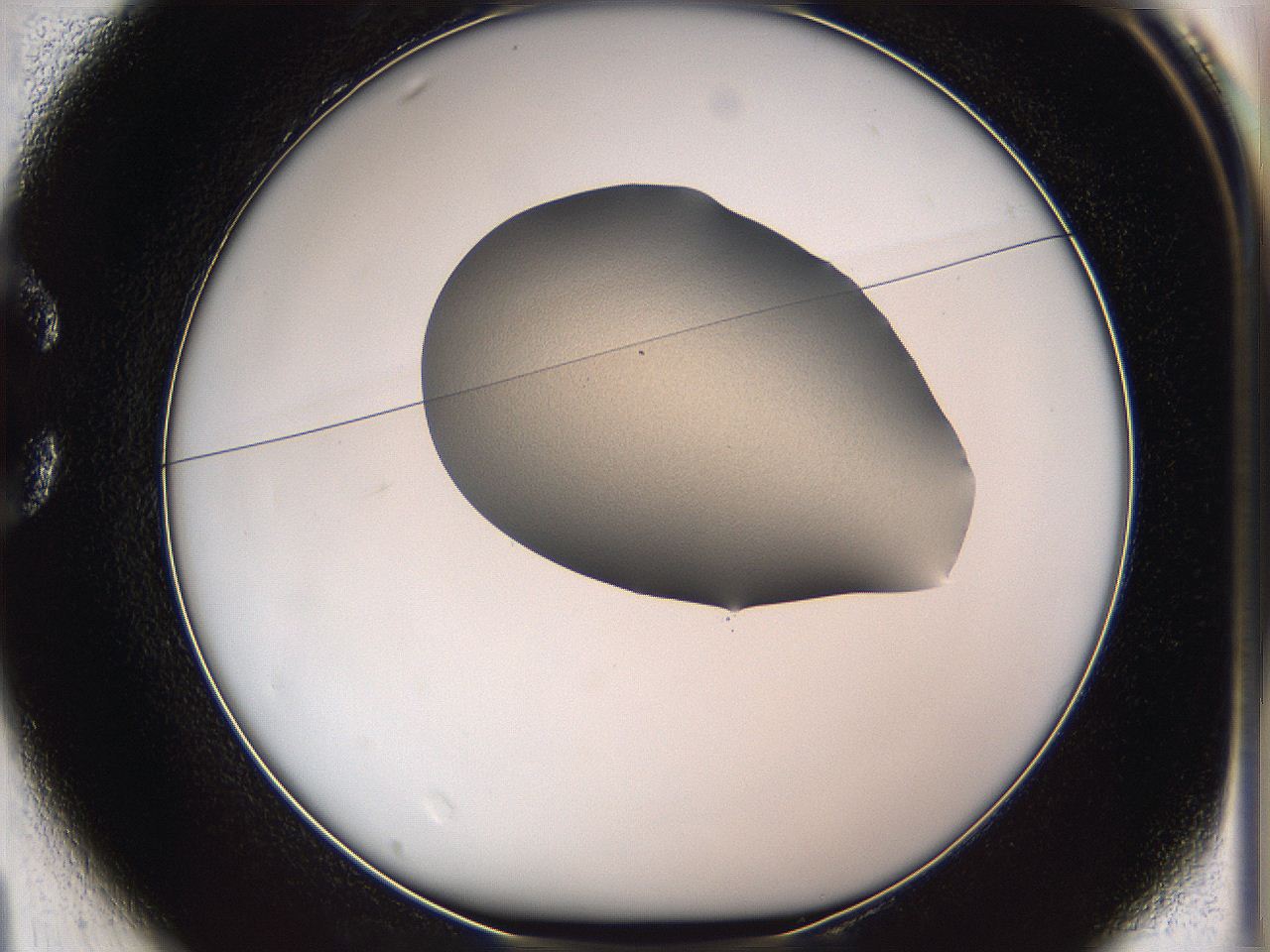 05we_C1_ImagerDefaults_1.jpg