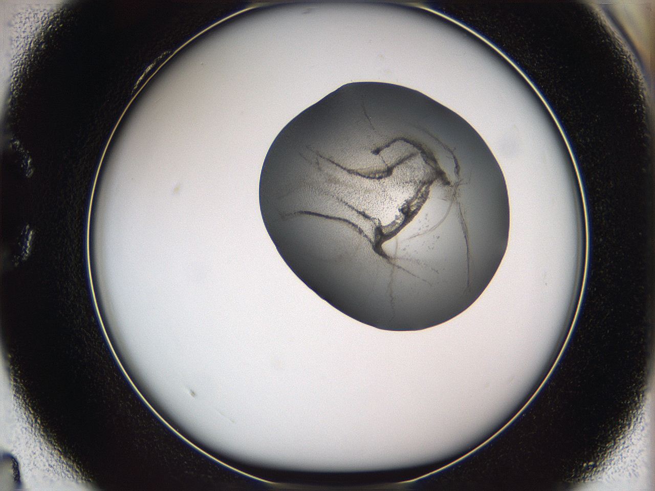 05we_C4_ImagerDefaults_3.jpg