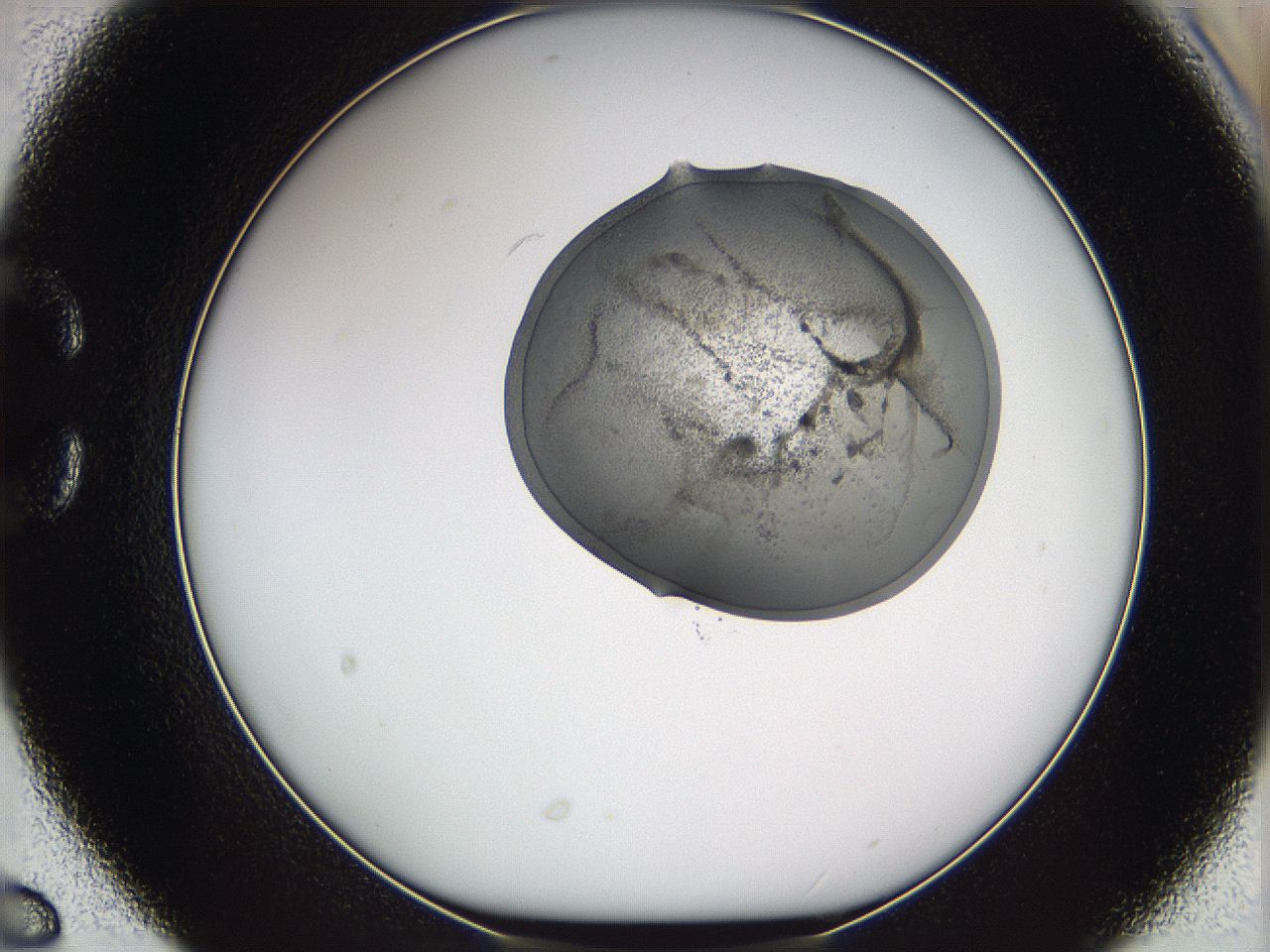 05we_C6_ImagerDefaults_3.jpg