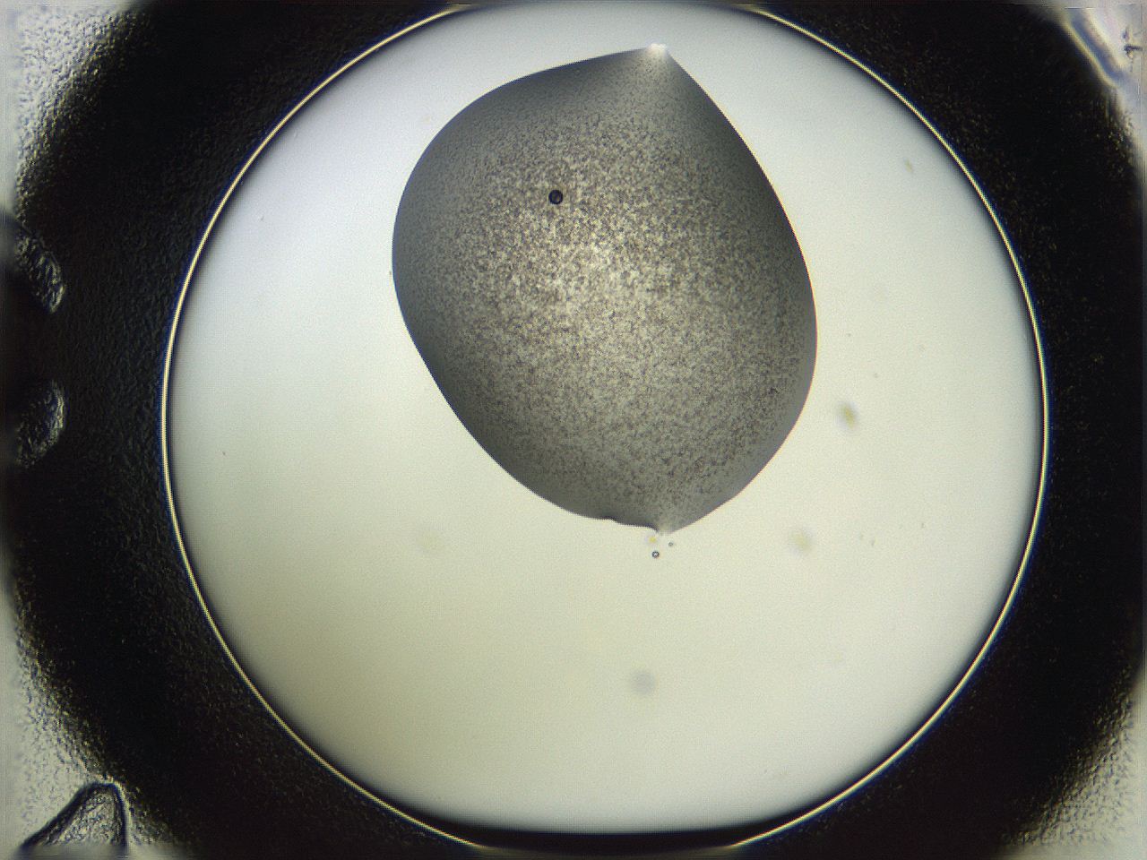 05we_C11_ImagerDefaults_3.jpg