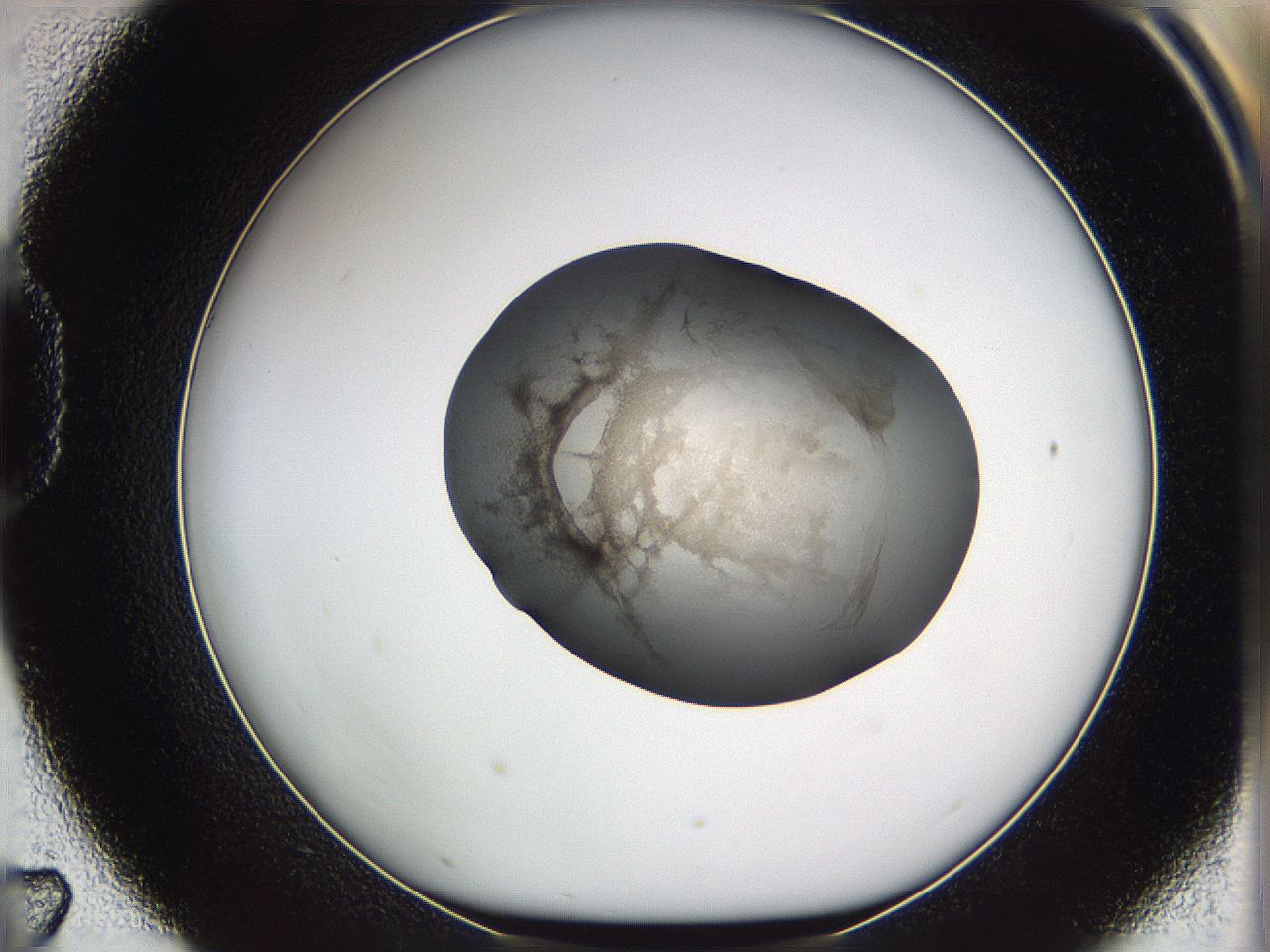 05we_D7_ImagerDefaults_3.jpg