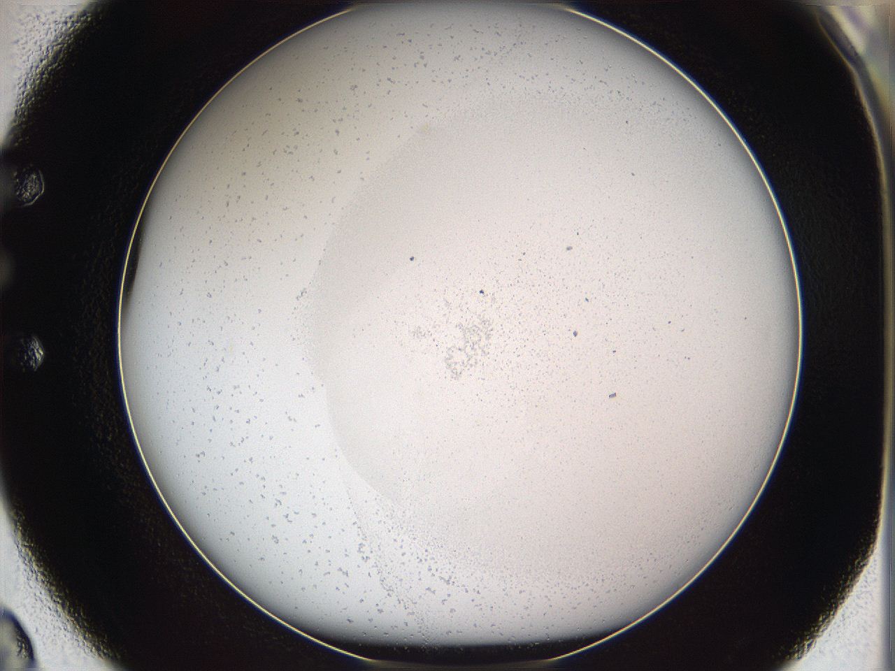 05we_E2_ImagerDefaults_3.jpg