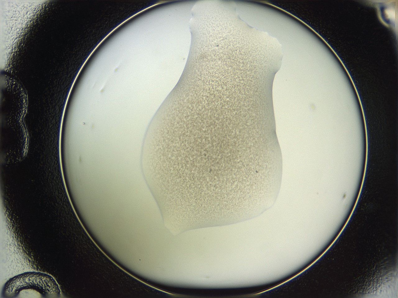 05we_B12_ImagerDefaults_3.jpg