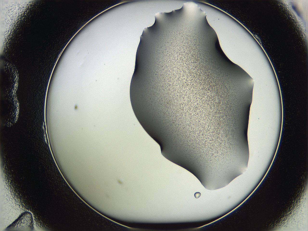 05we_B11_ImagerDefaults_3.jpg