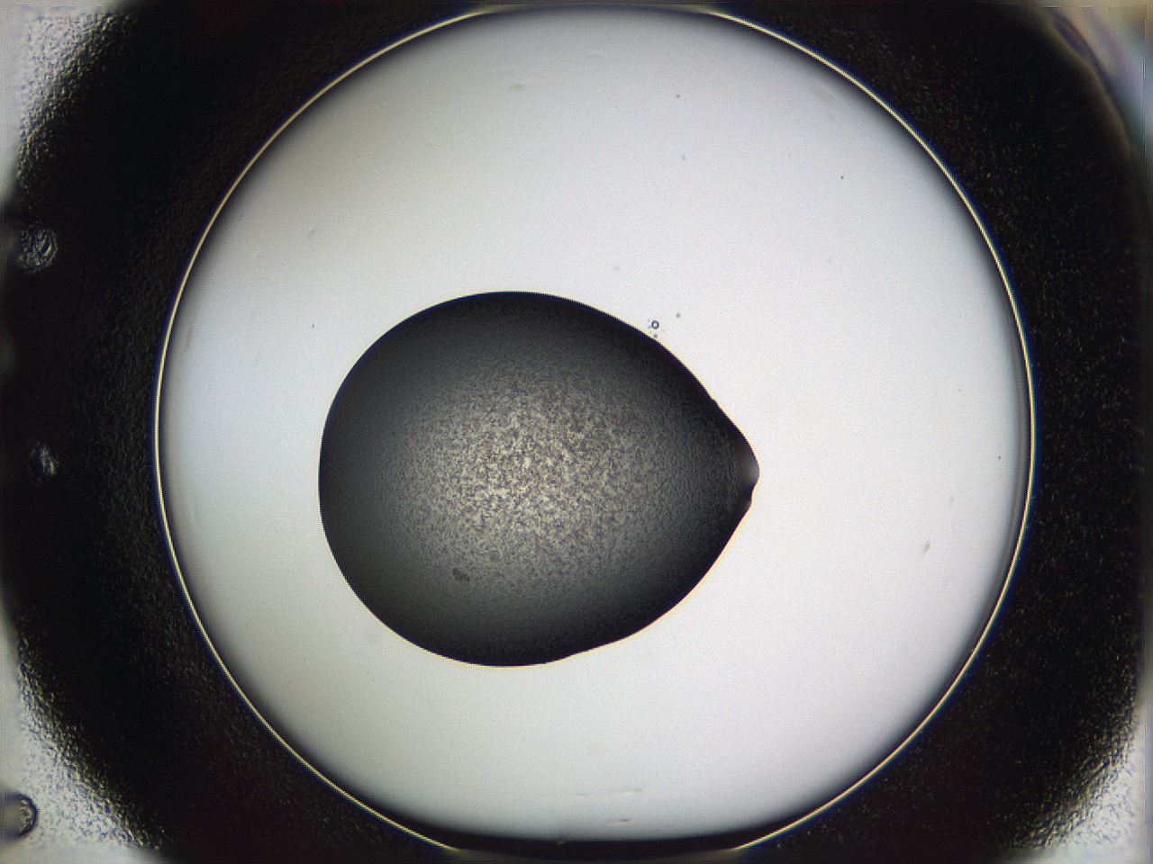 05we_E5_ImagerDefaults_3.jpg