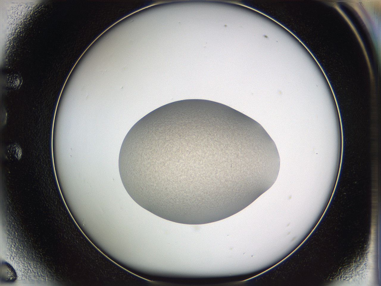 05we_E6_ImagerDefaults_3.jpg