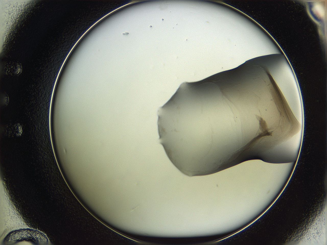 05we_E12_ImagerDefaults_3.jpg