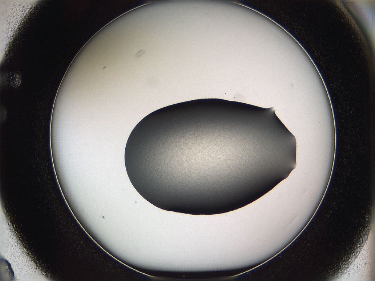 05we_F3_ImagerDefaults_3.jpg