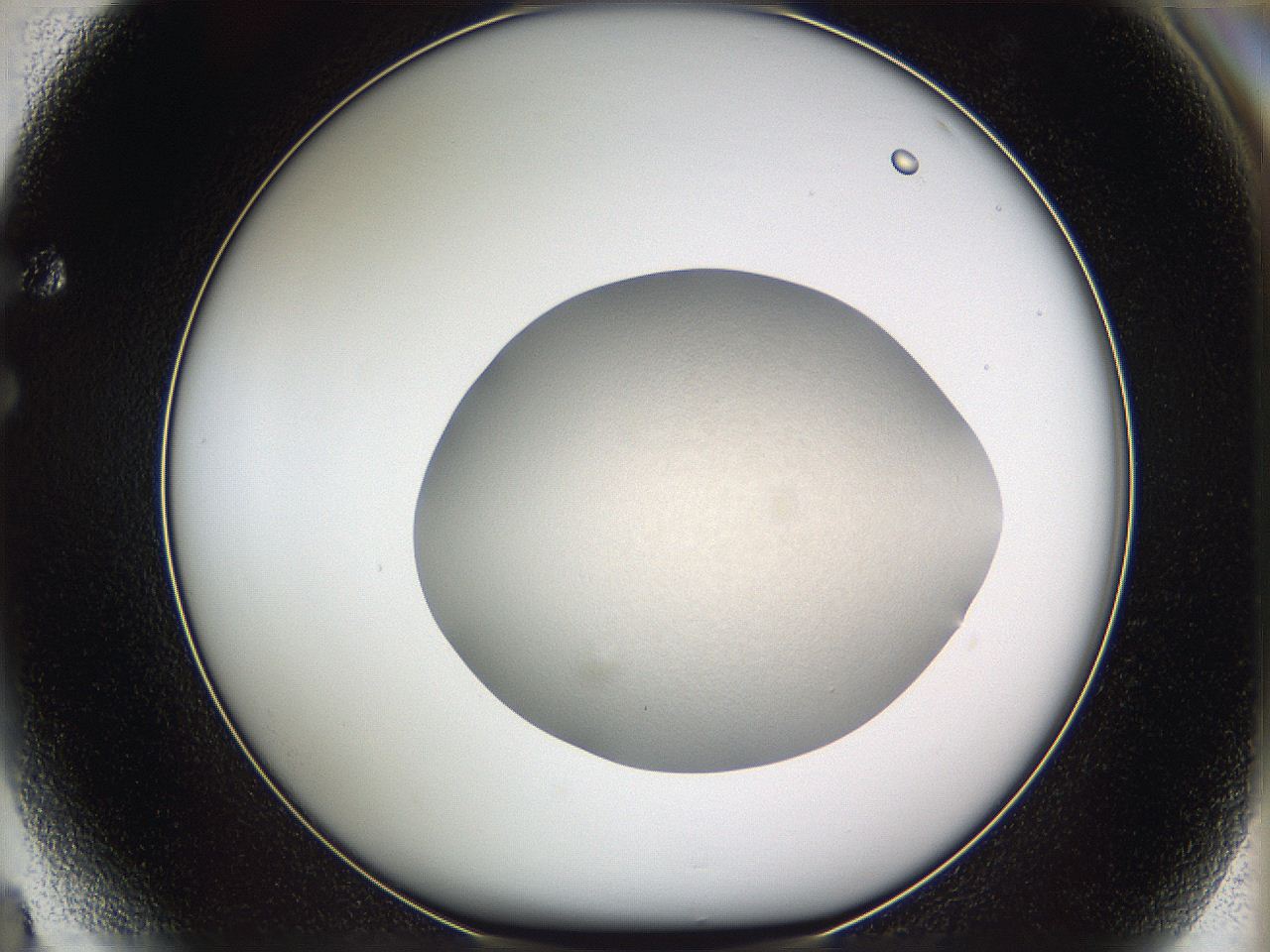 05we_F4_ImagerDefaults_1.jpg