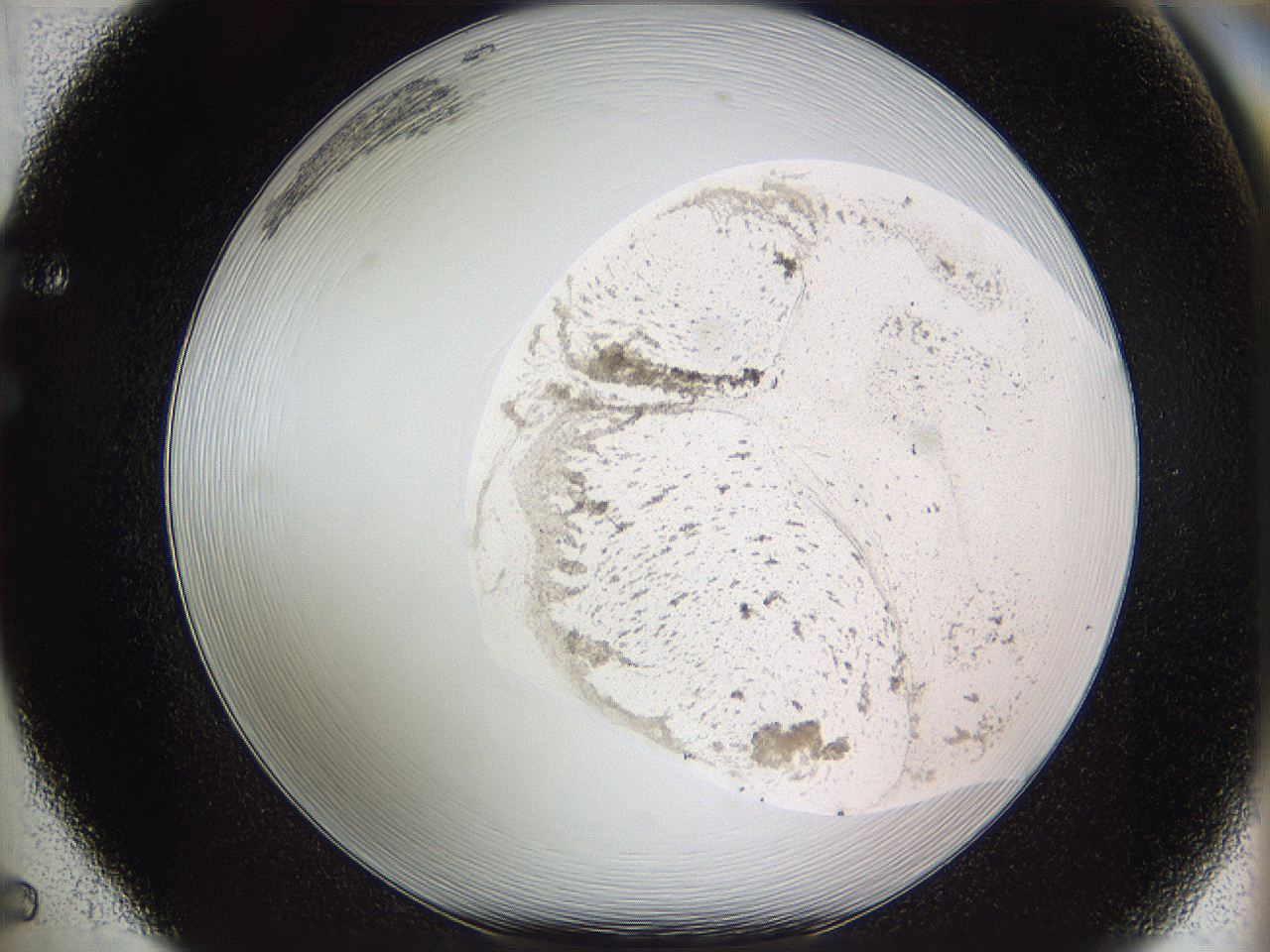05we_F5_ImagerDefaults_3.jpg
