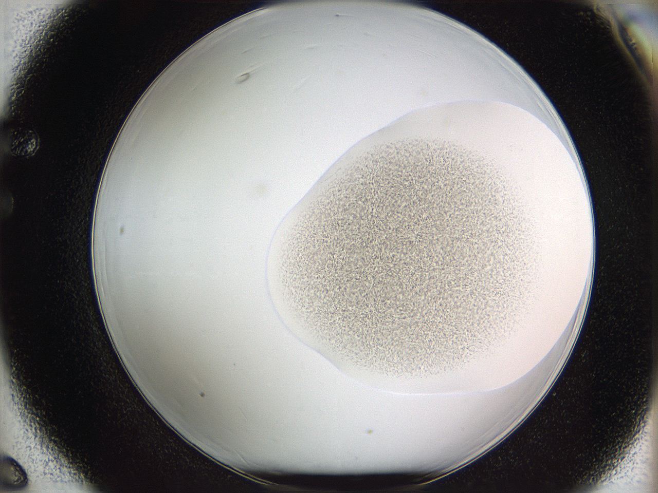 05we_F6_ImagerDefaults_3.jpg