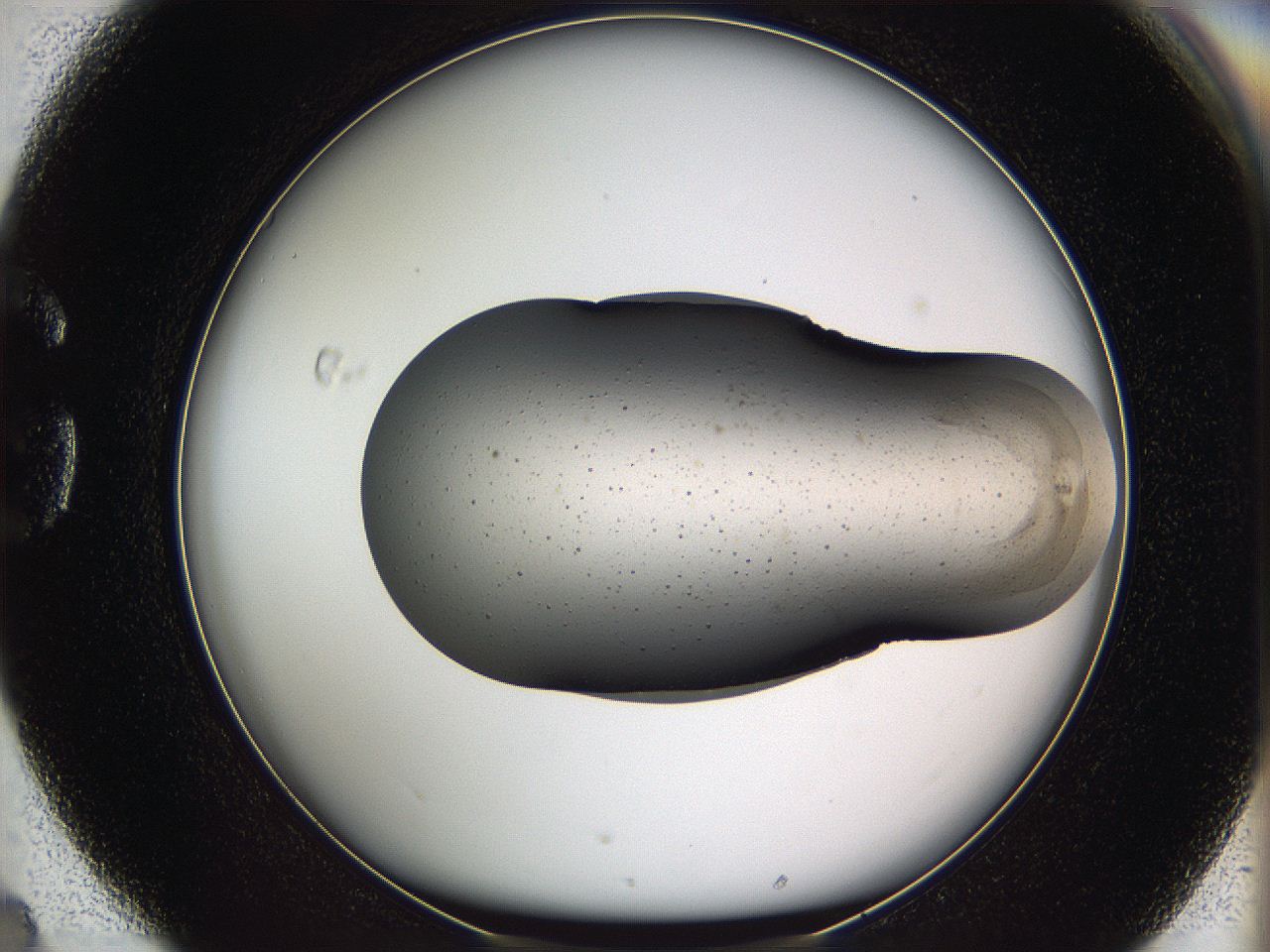 05we_G4_ImagerDefaults_3.jpg