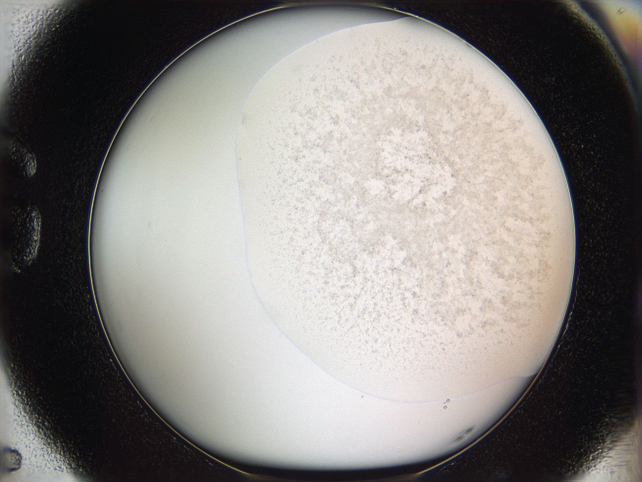 05we_G5_ImagerDefaults_3.jpg
