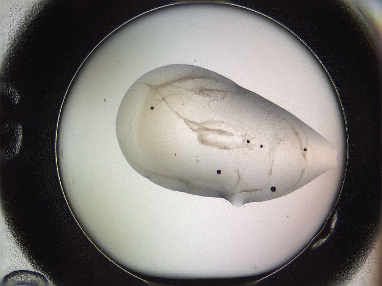 05we_G10_ImagerDefaults_3.jpg