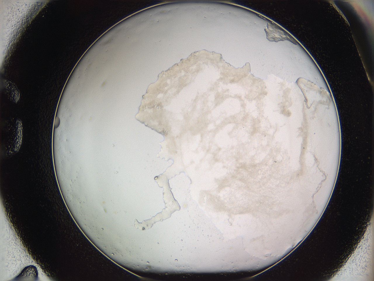 05we_G11_ImagerDefaults_3.jpg