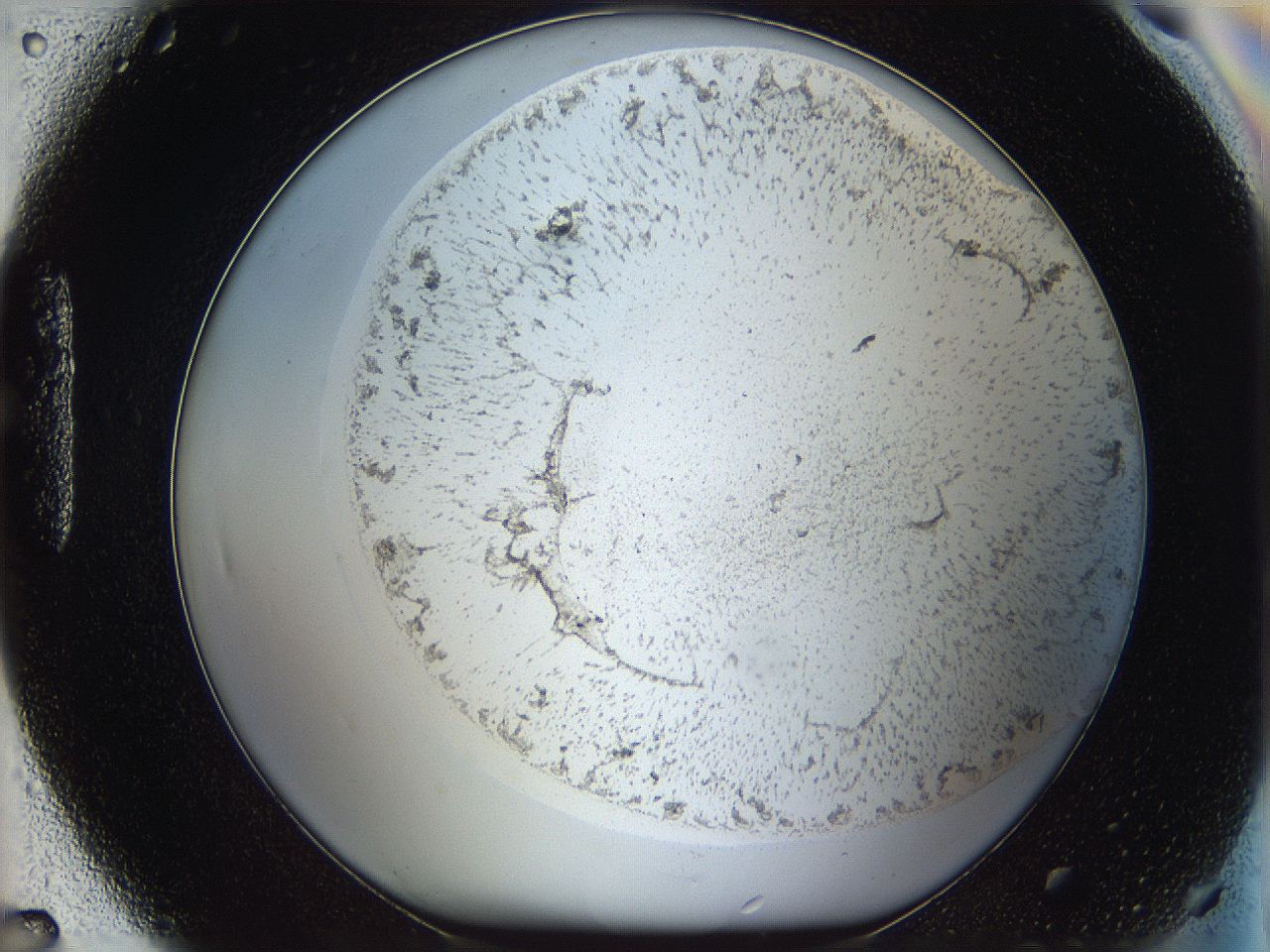 05we_H7_ImagerDefaults_3.jpg