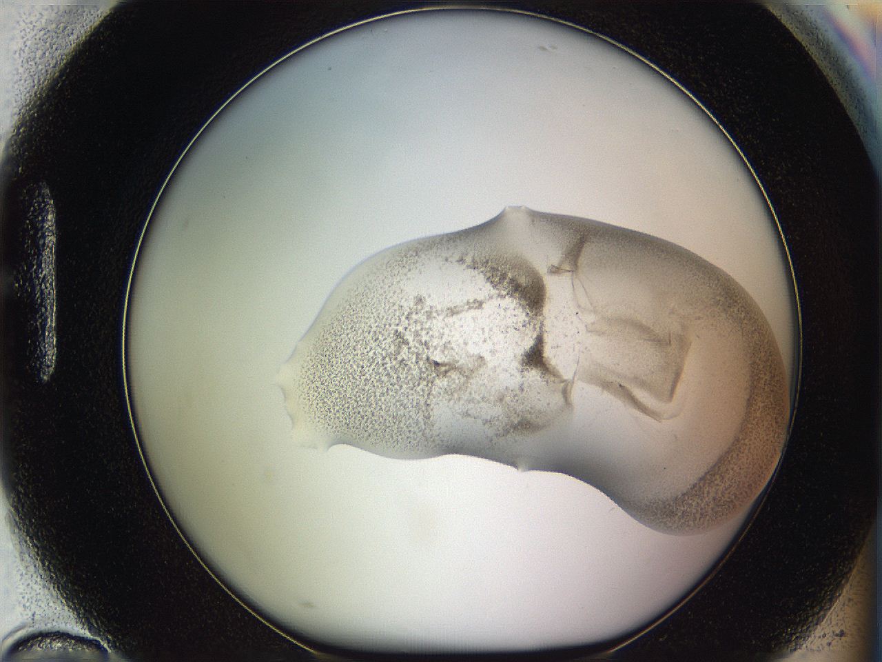 05we_H10_ImagerDefaults_3.jpg