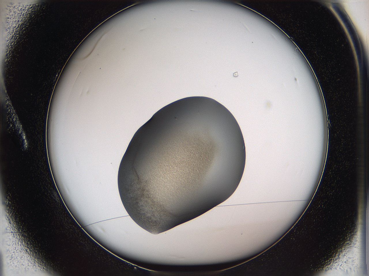 05wf_A1_ImagerDefaults_3.jpg