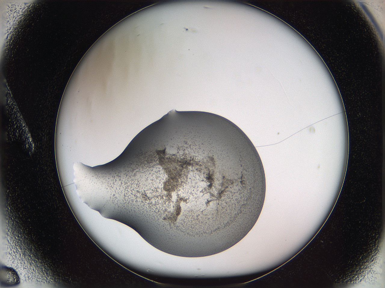 05wf_A6_ImagerDefaults_3.jpg