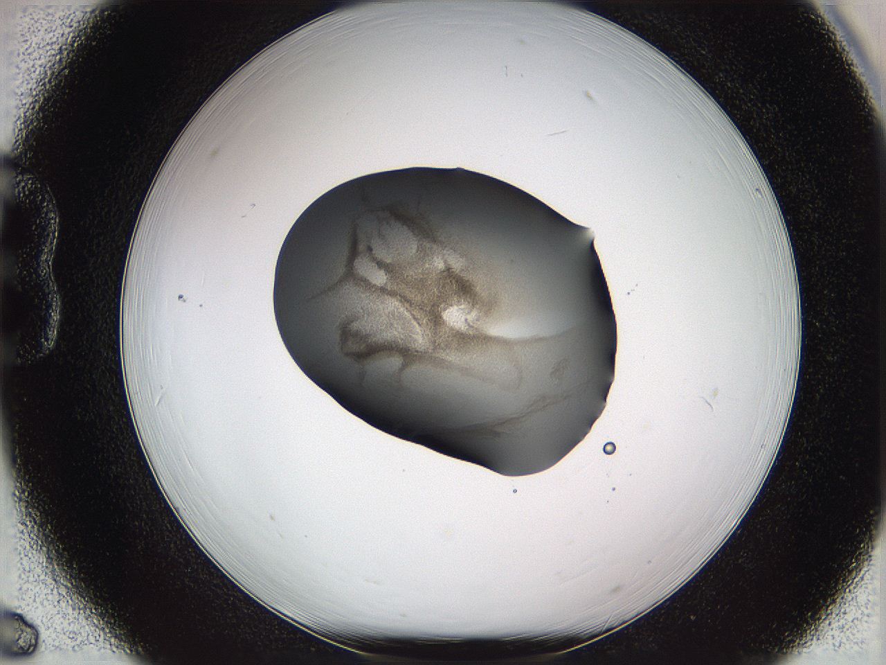 05wf_B6_ImagerDefaults_3.jpg