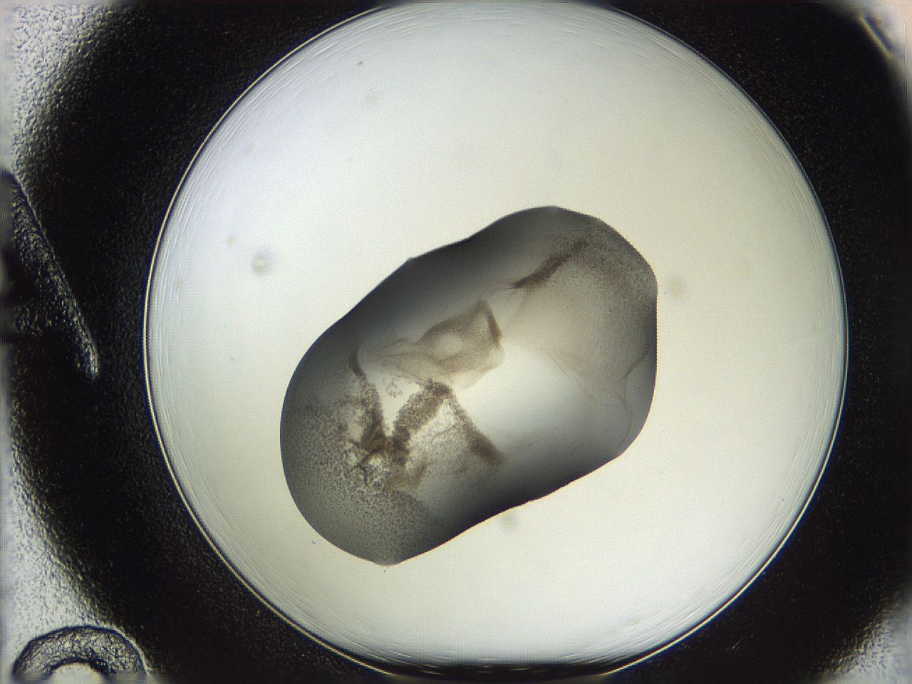 05wf_A12_ImagerDefaults_3.jpg