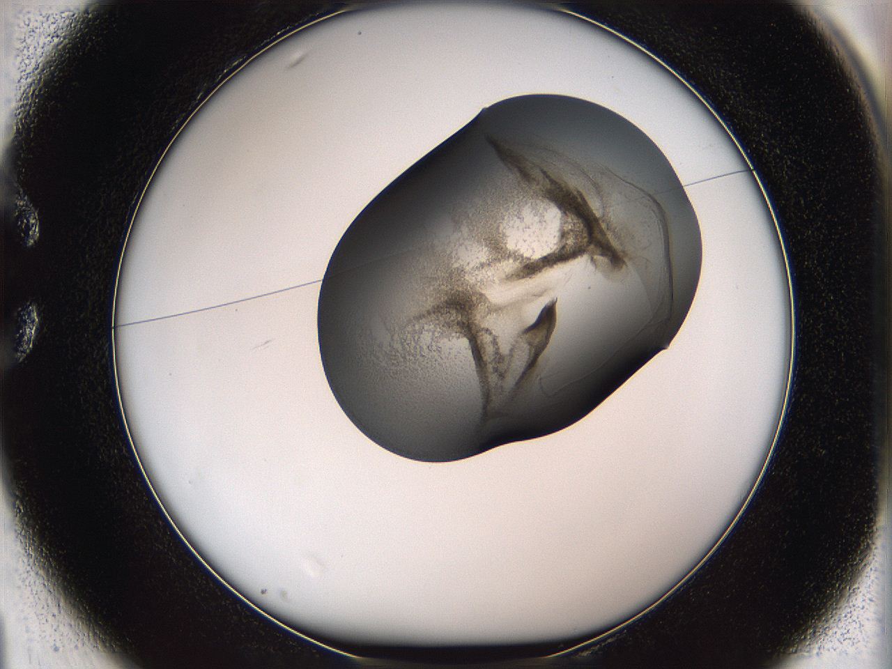 05wf_C1_ImagerDefaults_3.jpg