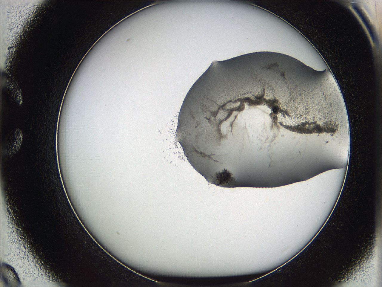 05wf_C9_ImagerDefaults_3.jpg