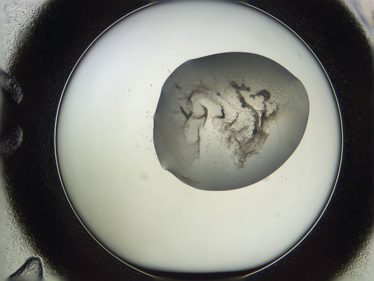 05wf_C11_ImagerDefaults_3.jpg