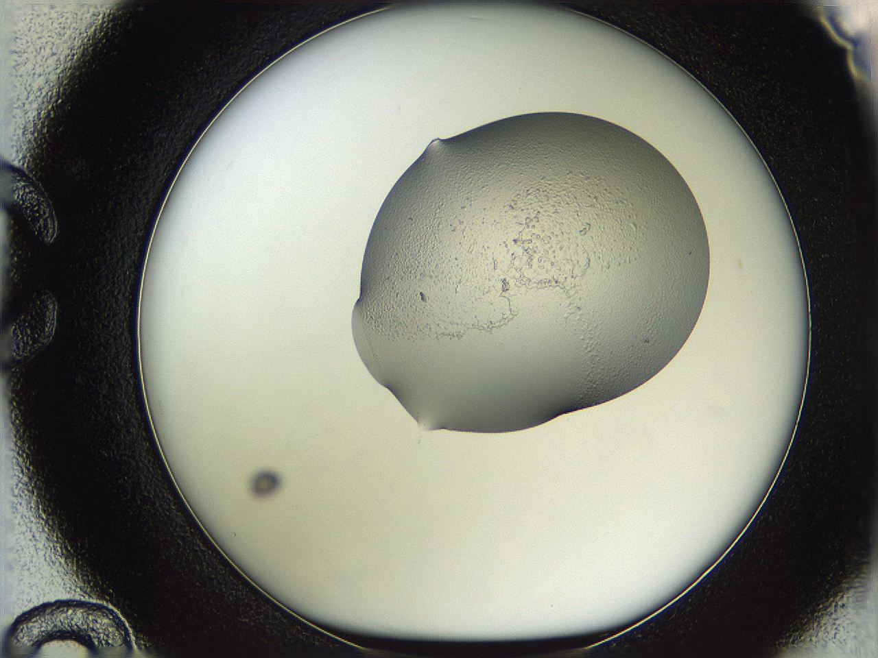 05wf_C12_ImagerDefaults_3.jpg