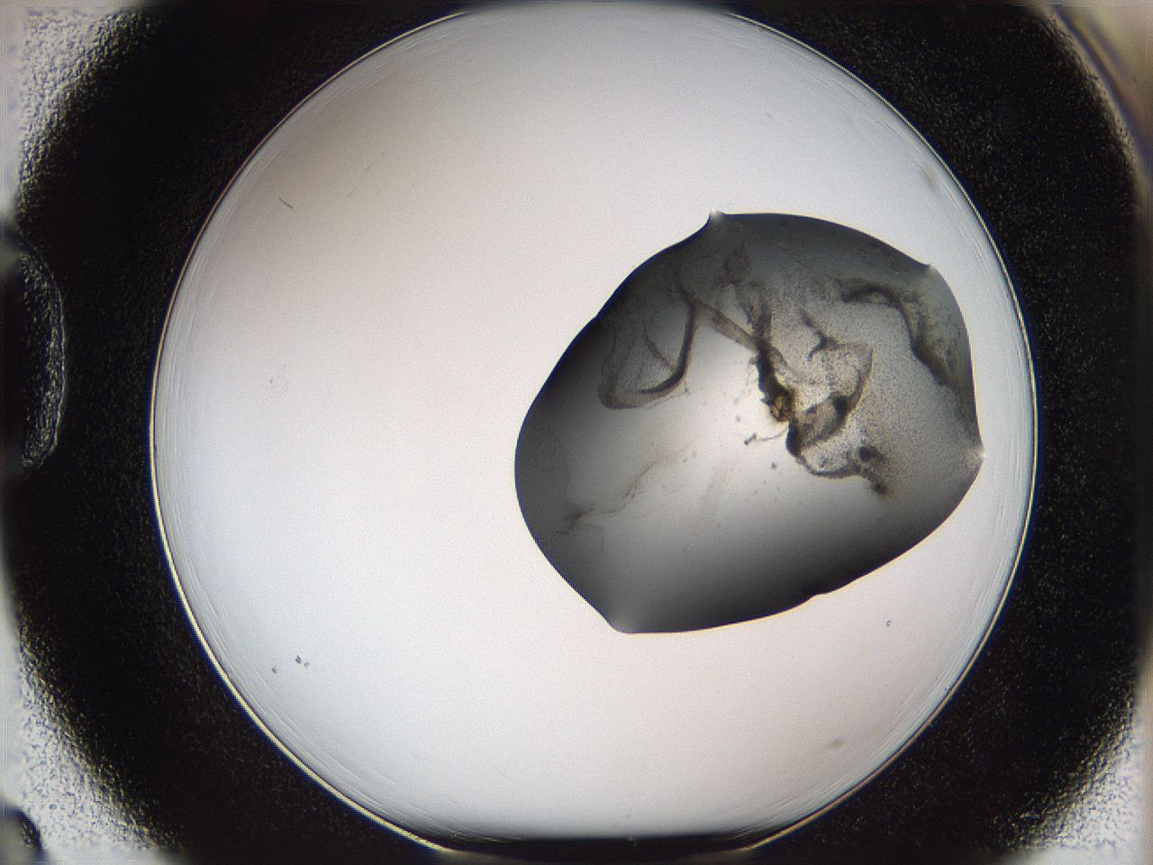 05wf_D3_ImagerDefaults_3.jpg