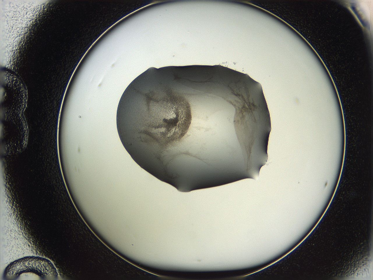 05wf_B12_ImagerDefaults_3.jpg