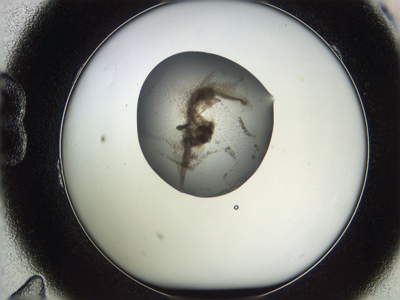 05wf_B11_ImagerDefaults_3.jpg