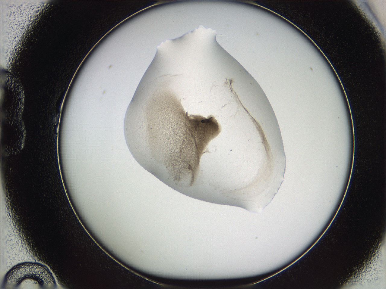 05wf_B10_ImagerDefaults_3.jpg